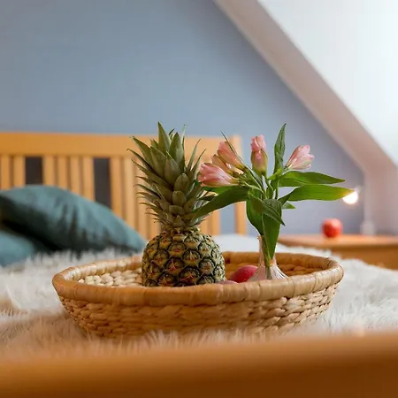 Frisia Nr 29 Apartmán *